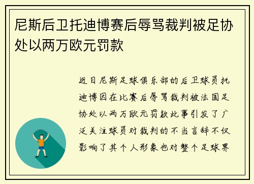尼斯后卫托迪博赛后辱骂裁判被足协处以两万欧元罚款